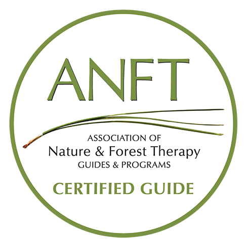 ANFT certified guide